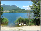 foto Lago di Caldonazzo